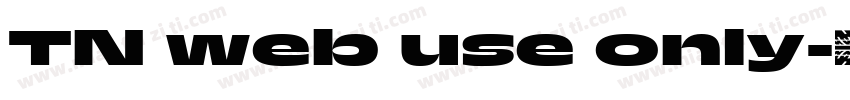 TN web use only字体转换